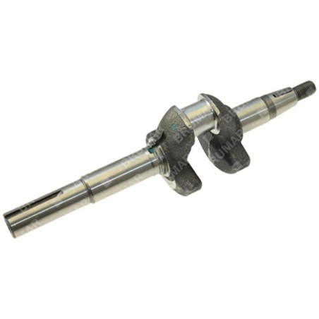 Cigüeñal DV 200 OHV 061496 ORIGINAL PROGREEN | NewgardenParts.com