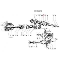 RING YN0210045 ORIGINAL OLEOMAC | NewgardenParts.com