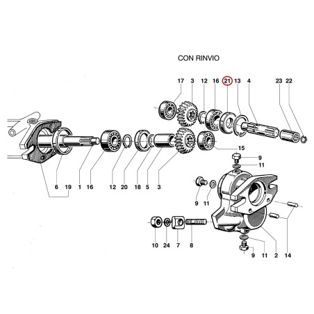 Anello YN0210045 ORIGINALE OLEOMAC | NewgardenParts.com