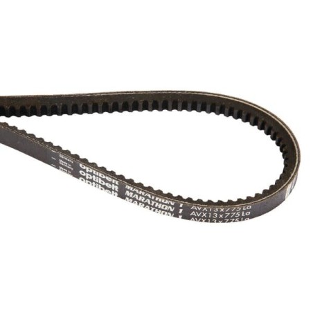 Sangle 13x865 AVX13865M2 | NewgardenParts.com
