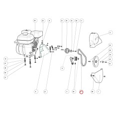 BELT 5LX323K P3010031 | NewgardenParts.com