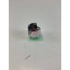 Pistone 79856 | NewgardenParts.com