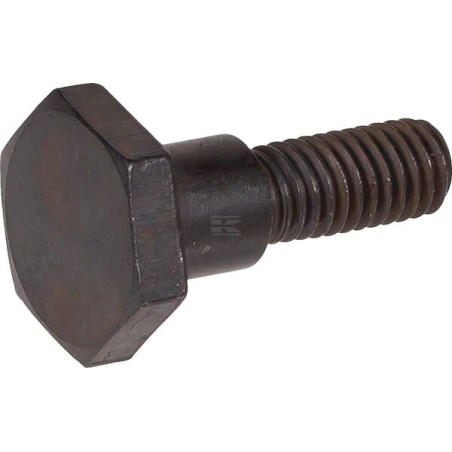 Kupplungsbackenschrauben 1238781110 | NewgardenParts.com