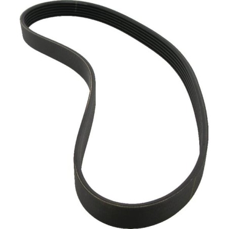 Cinghia scanalata 4PJ307 9075338 | NewgardenParts.com