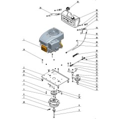 Micro switch for tractors 034909 ORIGINAL MAORI | NewgardenParts.com