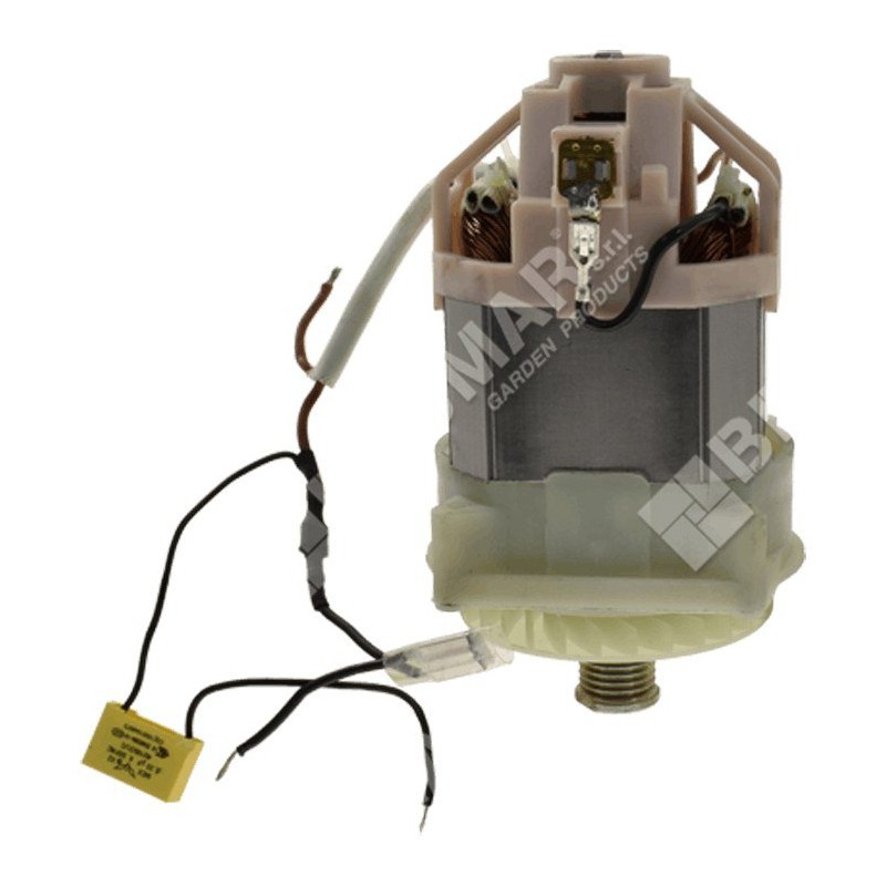 Elektromotor für Rasenmäher 048598 ORIGINAL MAORI