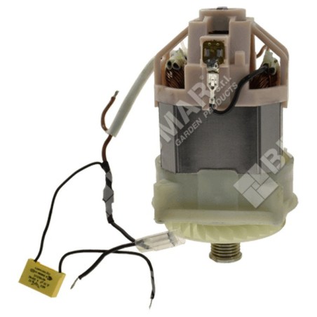 Electric motor for lawnmower 048598 ORIGINAL MAORI | NewgardenParts.com