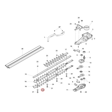 Rondella W58040024R ORIGINALE OLEOMAC | NewgardenParts.com