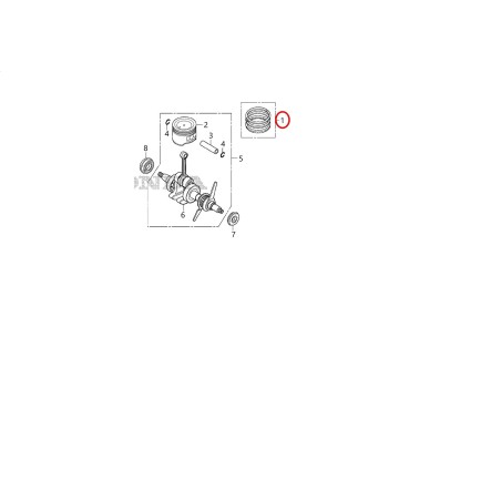 HONDA 43mm diameter square segment kit 050587 | NewgardenParts.com
