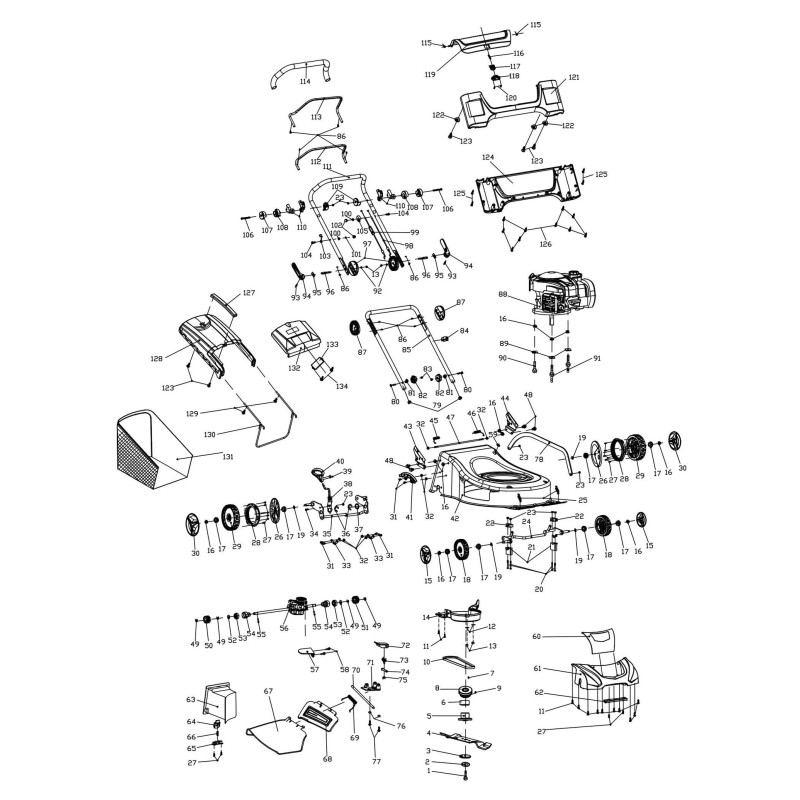 3L section belt - Z type NEWTON 057879