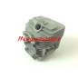 Cilindro motore decespugliatore soffiatore ORIGINALE KAWASAKI TJ027E 11005-2158