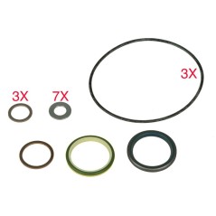 DICHTUNGSSATZ FÜR SERVOLENKUNG 02060076 | NewgardenParts.com
