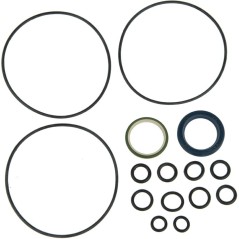 JUEGO DE JUNTAS DE DIRECCIÓN ASISTIDA 02060141 | NewgardenParts.com