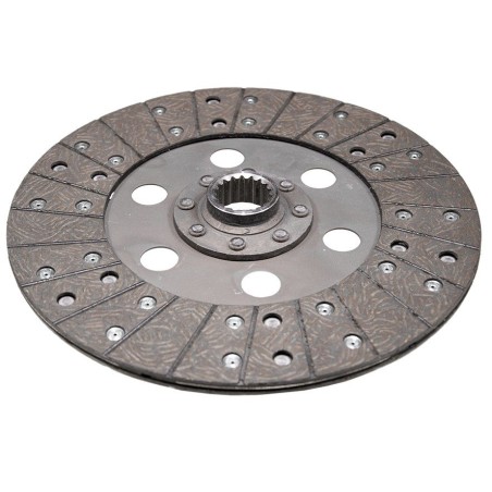DISCO CONDOTTO FRIZIONE 06300099 | NewgardenParts.com