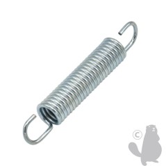 Brake spring 11067 ORIGINAL AMBROGIO | NewgardenParts.com