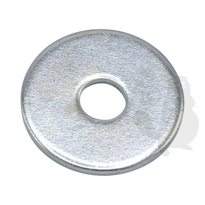 Washer 8x36x2.5 2243 ORIGINAL AMBROGIO