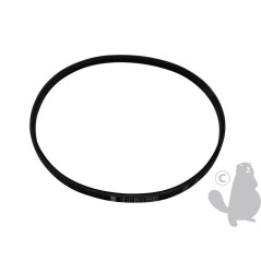 Fräsenriemen 7484 ORIGINAL AMBROGIO | NewgardenParts.com