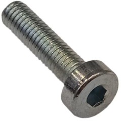 Screw C00029 ORIGINAL AMBROGIO | NewgardenParts.com