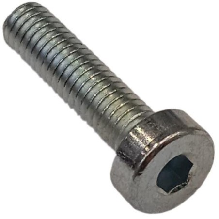 Vite C00029 ORIGINALE AMBROGIO | NewgardenParts.com