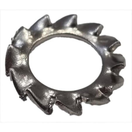 Rosetta dentellata C00128 ORIGINALE AMBROGIO | NewgardenParts.com