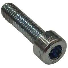 Vite C00132 ORIGINALE AMBROGIO | NewgardenParts.com