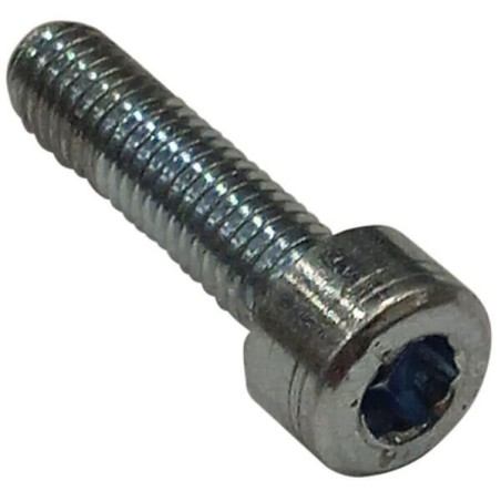 Vite C00132 ORIGINALE AMBROGIO | NewgardenParts.com