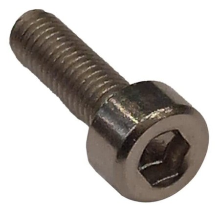 Vite C00364 ORIGINALE AMBROGIO | NewgardenParts.com
