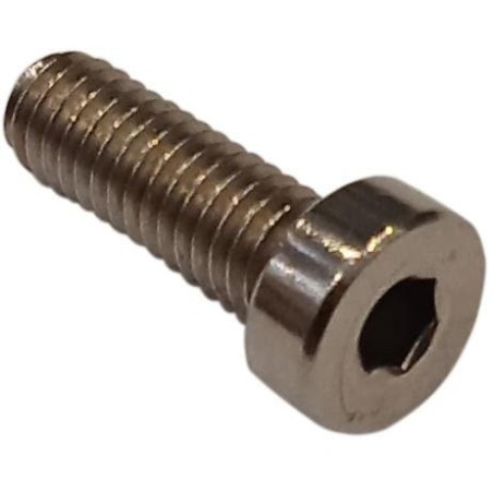 Vite C02188 ORIGINALE AMBROGIO | NewgardenParts.com