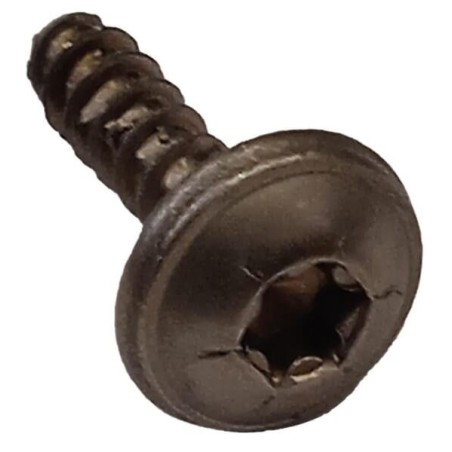 TORNILLO C02231 ORIGINAL AMBROGIO | NewgardenParts.com