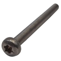 TORNILLO C02269 ORIGINAL AMBROGIO | NewgardenParts.com