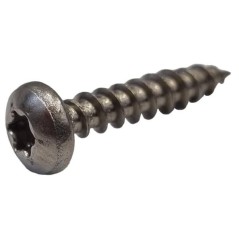 Vite Torx 5X25-A2 C02547 ORIGINALE AMBROGIO | NewgardenParts.com