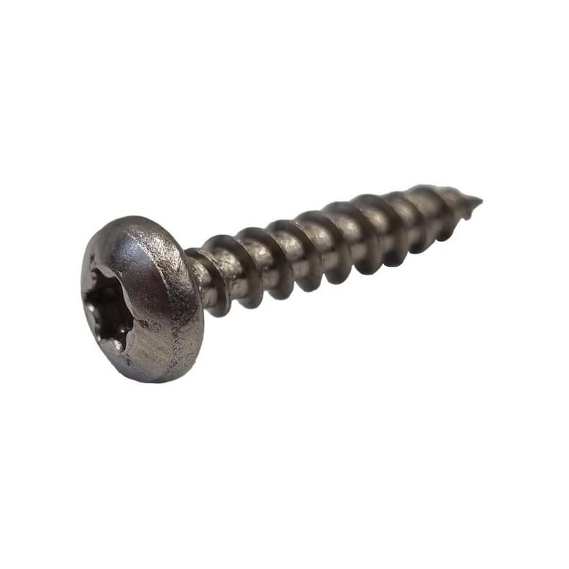 Tornillo Torx 5X25-A2 C02547 ORIGINAL AMBROGIO Tornillo Torx 5X25-A2 C02547 ORIGINAL AMBROGIO