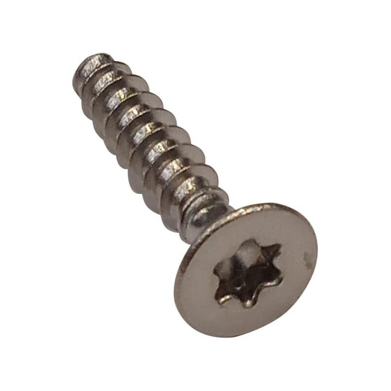 Tornillo Torx 4X20 C02571 ORIGINAL AMBROGIO