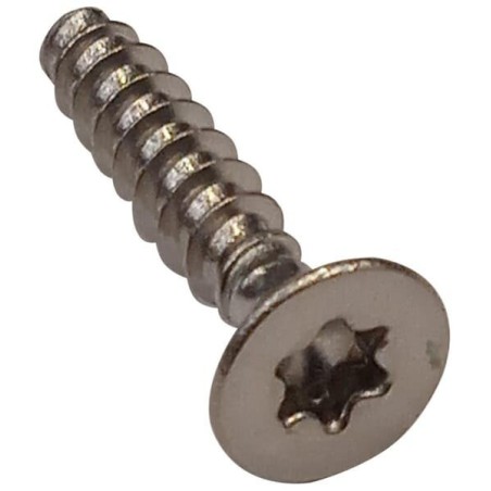 Tornillo Torx 4X20 C02571 ORIGINAL AMBROGIO | NewgardenParts.com