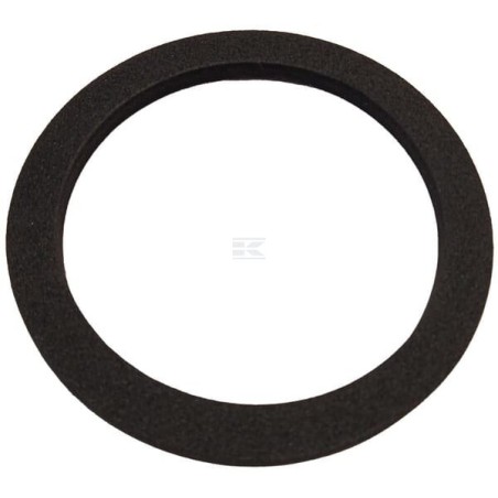Guarnizione L20Z06700B ORIGINALE AMBROGIO | NewgardenParts.com
