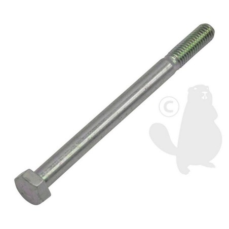 Vis à tête hexagonale M8x100 T8100 ORIGINAL AMBROGIO | NewgardenParts.com