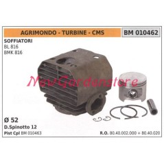 Kolbenzylindersegmente AGRIMONDO Gebläsemotor BL 816 BMK 816 010462 | NewgardenParts.com