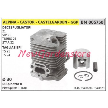 Cilindro pistone segmenti ALPINA motore decespugliatore 21 VIP21 TURBO 21 005750 | NewgardenParts.com