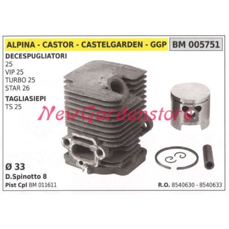 Cilindro pistone segmenti ALPINA motore decespugliatore 25 VIP25 TURBO 25 005751 | NewgardenParts.com