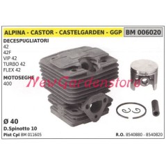 Cilindro pistone segmenti ALPINA motore decespugliatore 42 42F VIP 42 006020 | NewgardenParts.com