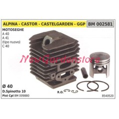 Cilindro pistone segmenti ALPINA motore motosega A40 41 C40 002581 | NewgardenParts.com