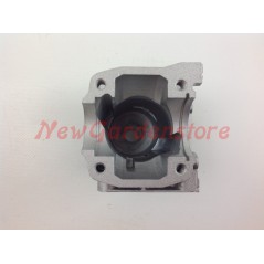 CINA piston ring cylinder CINA chainsaw engine CS25 30 SC625 009102 | NewgardenParts.com