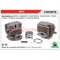 EFCO chainsaw 8250 TG2600XP TS326 TS326 61070072A EFCO segment piston cylinder