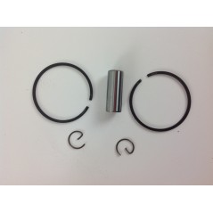 Kolbenzylindersegmente EMAK Freischneider Motor 744 755 753 753S 005719 | NewgardenParts.com