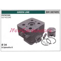 Cilindro pistone segmenti GREEN LINE motore potatore GLP 4212AE 007495 | NewgardenParts.com