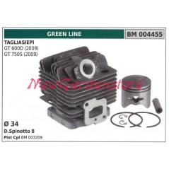 Cilindro pistone segmenti GREEN LINE motore tagliasiepe GT 600D 750S 004455 | NewgardenParts.com