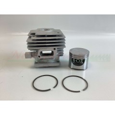 Piston cylinder segments HUSQVARNA chainsaw engine 266 266XP 001455 | NewgardenParts.com