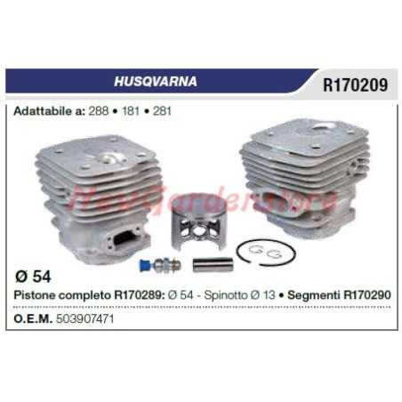 Kolben-Zylinder-Segmente HUSQVARNA Kettensäge 288 181 281 R170209 | NewgardenParts.com