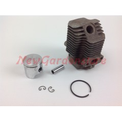 Cilindro pistone segmenti KAWASAKI motore decespugliatore TG 18 001150 | NewgardenParts.com