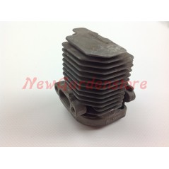 Cilindro pistone segmenti KAWASAKI motore decespugliatore TG 18 001150 | NewgardenParts.com